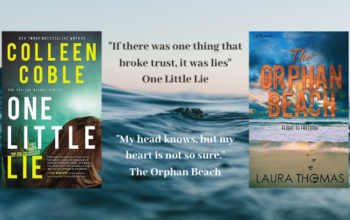 Double Book Review: The Orphan Beach and One Little Lie